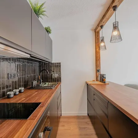 Cozy Mont-blanc View Location Apartment