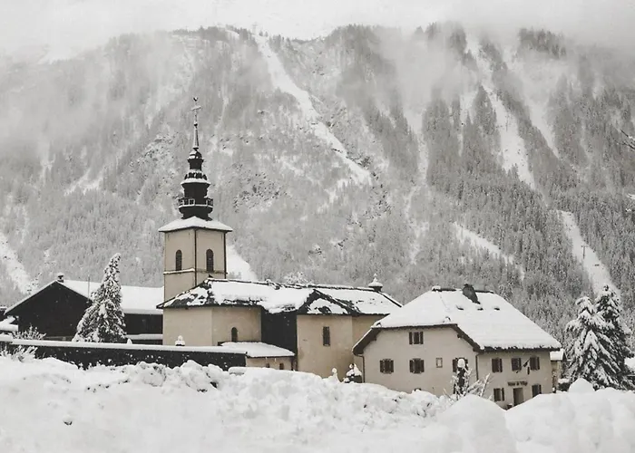 Apartment Cozy Mont-blanc View Location Chamonix