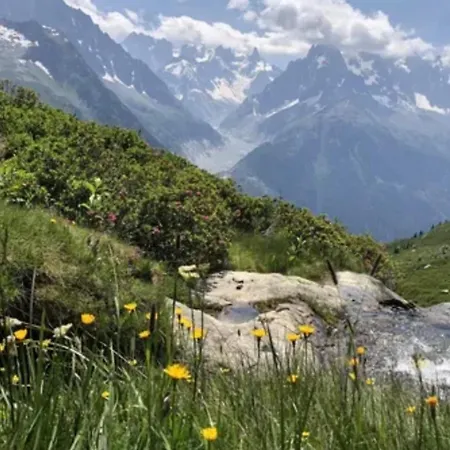 Cosy Nest With Balcony In The Middle Of Argentière Appartement